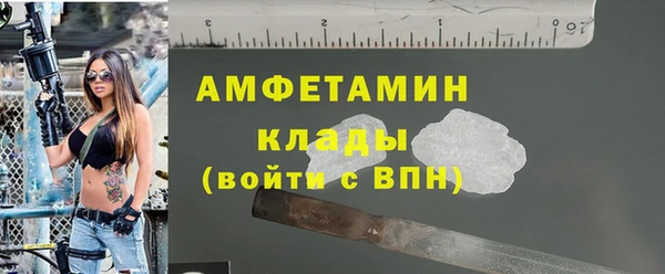 мдпв Семёнов