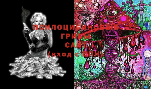 мяу мяу кристалл Богданович