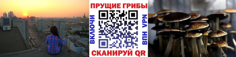 где купить   Тобольск  KRAKEN рабочий сайт  Псилоцибиновые грибы Magic Shrooms 